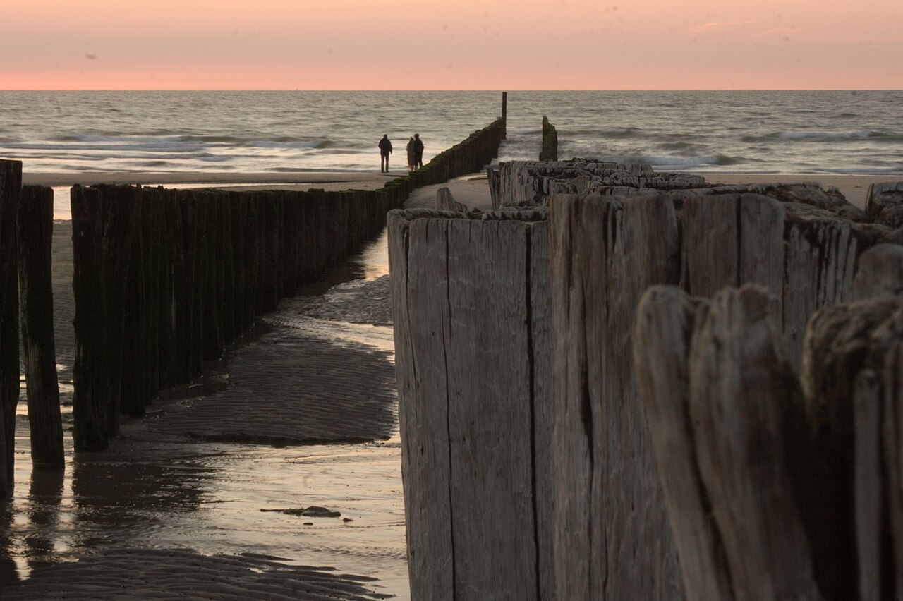 Paalhoofden op het strand van Domburg, Zeeland